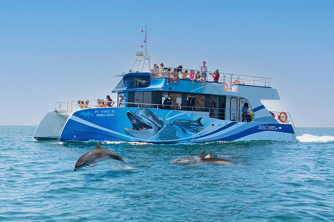 Boat trip to see Dolphins