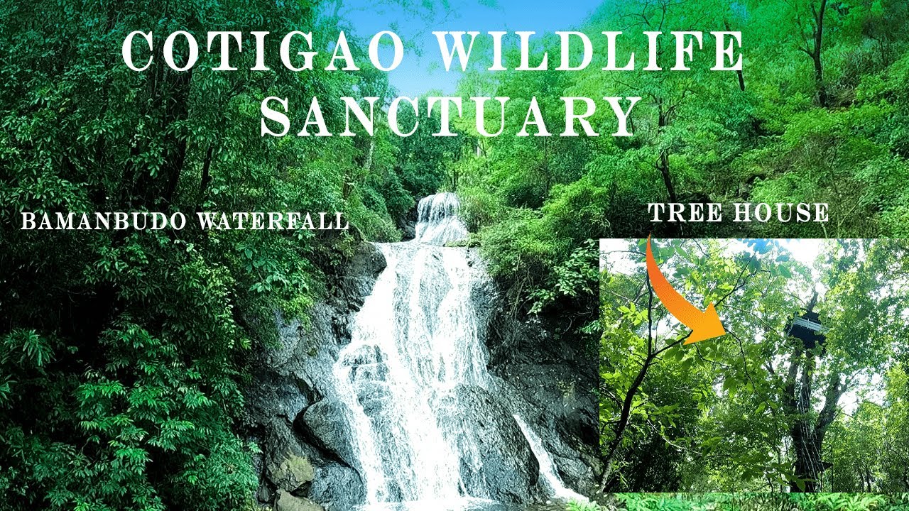 cotigao-wildlife-sanctuary