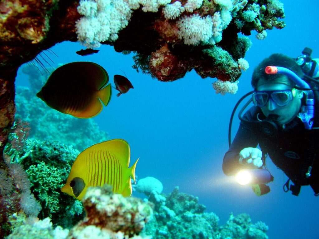 scuba-dive-in-Goa